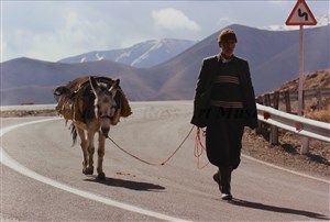 Image description is not available for 2009.070